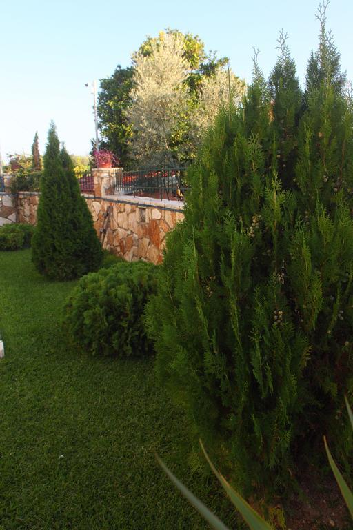 Aggelina Apartment Nydri  Bagian luar foto
